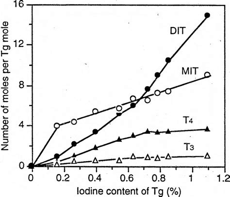 Iodoamino acid synthesis as a function of the iodine con­ tent of Tg ...