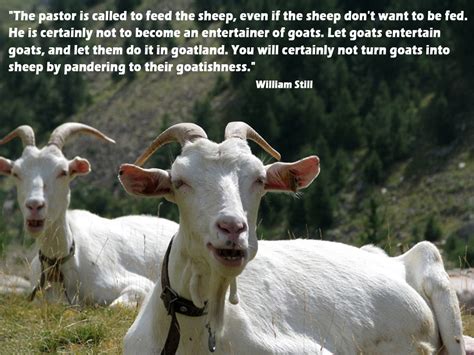 Goats Quotes. QuotesGram