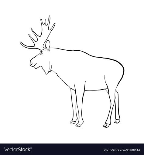 Elk Drawing