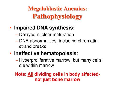 PPT - The Megaloblastic Anemias: Vitamin B 12 & Folate Deficiency ...