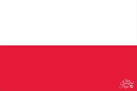 Flag of Poland for sale, Nylon, Buy - Star Spangled Flags