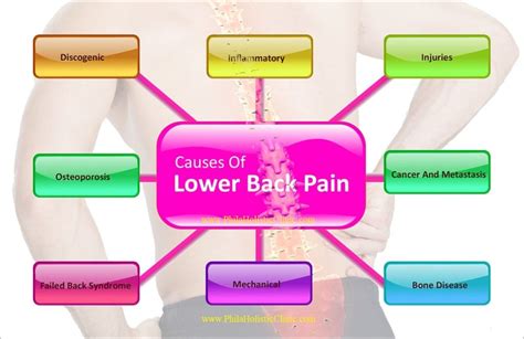 Treatment for Lower Back Pain - Philadelphia Homeopathic Clinic/Dr. Tsan