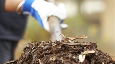 Asbestos mulch fears in Perth southern suburb Aubin Grove | PerthNow