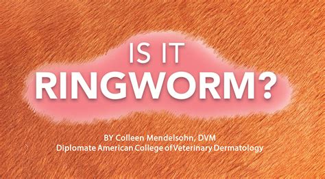 Is it Ringworm? | Pet Boarding and Daycare Magazine