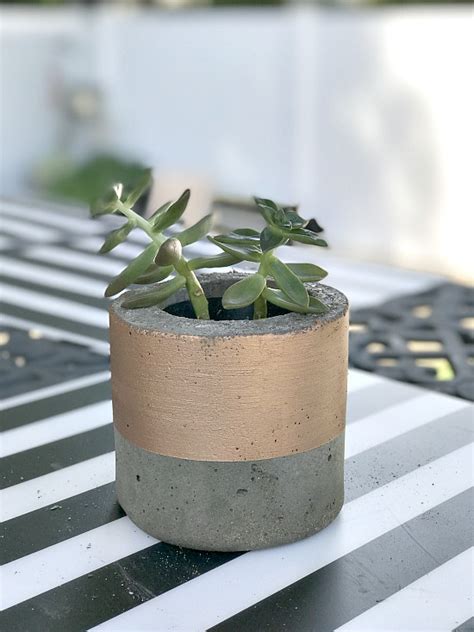 DIY Cement Planter Family Project