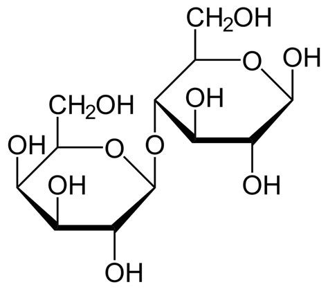 Lab 2e Structure and Properties of Carbohydrates - Toby Guenthner