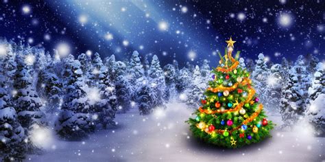 Christmas tree digital backdrop, tree digital background, winter ...