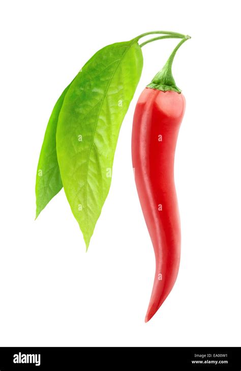 Hanging chili pepper hi-res stock photography and images - Alamy