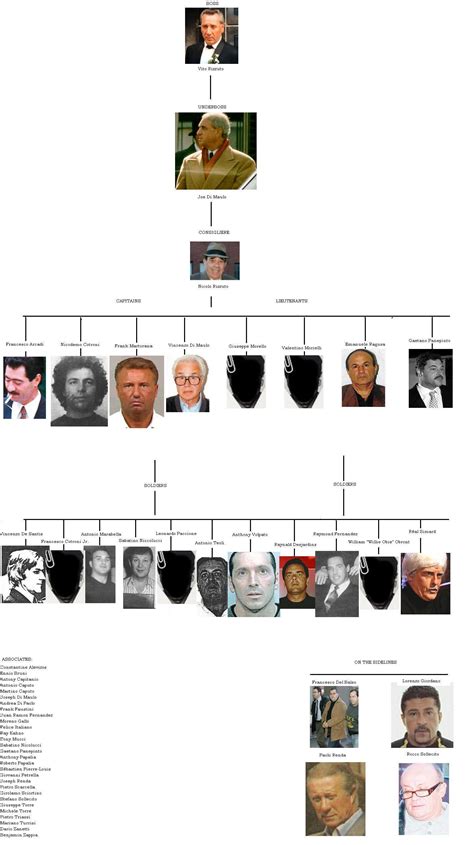 Hierarchy Chart of Rizzuto's So-Called 'Sixth Family'