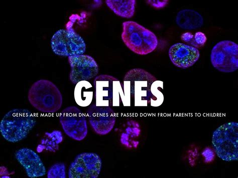 Genetics by Olexander Levchenko