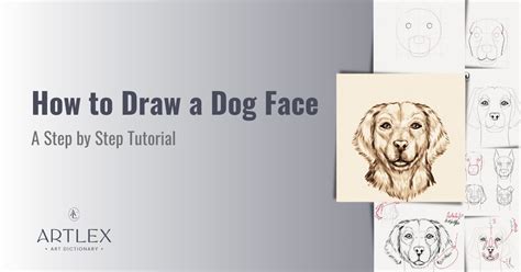 How to Draw a Dog Face – A Step-by-Step Tutorial - Artlex - AnhVu Food