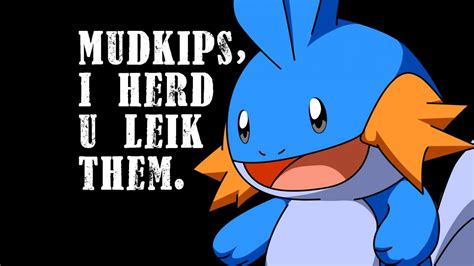 Mudkip Memes Wallpapers - Wallpaper Cave