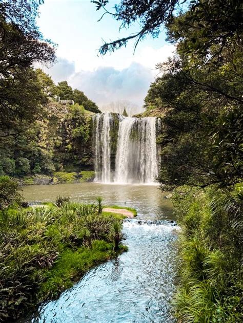 Whangarei Falls Whangerai New Zealand. #backpacker #travel #backpacking ...