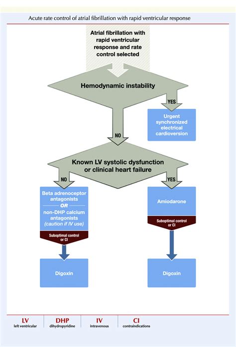 Afib With Rvr Treatment