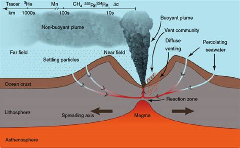 [DIAGRAM] Deep Sea Vents Diagram - MYDIAGRAM.ONLINE