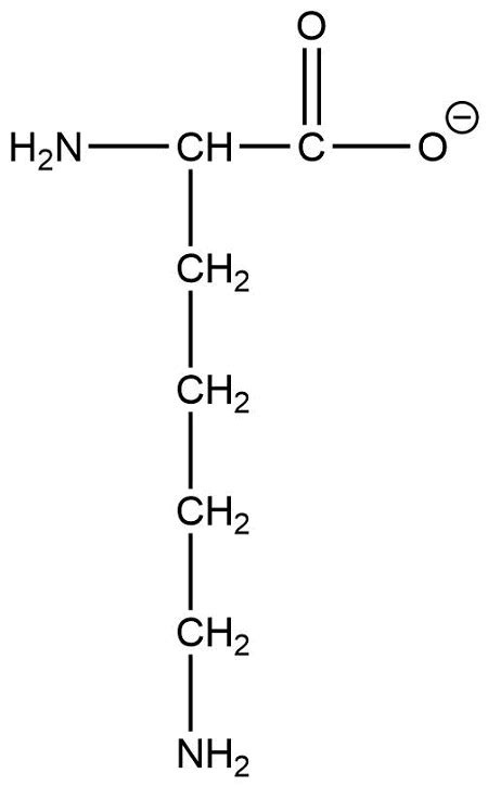 What is the net charge of lysine at pH = 12.0? (pKas 2.2, 9.2, and 10.8 ...