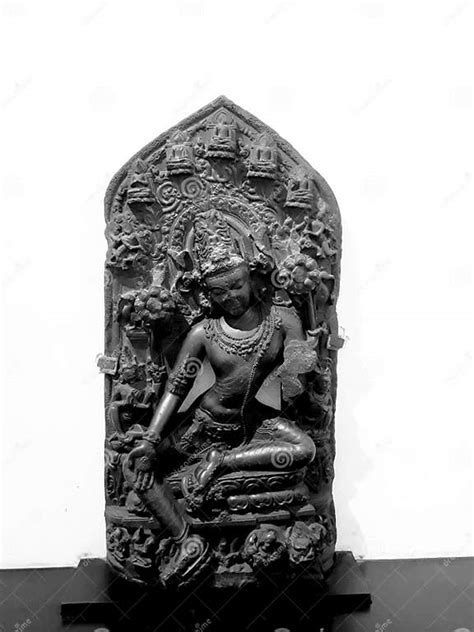 Exhibits at Indian Museum in Kolkata Editorial Stock Image - Image of ...