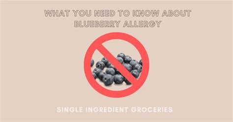 What You Need to Know About Blueberry Allergy - Single Ingredient Groceries