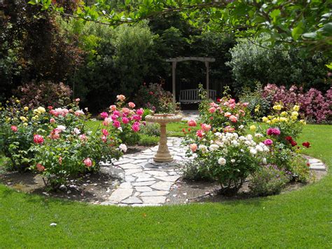 Backyard Rose Garden | Rose garden design, Backyard garden design ...