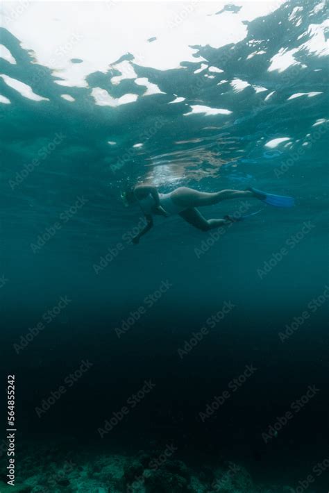 Snorkeling in the Maldives Stock Photo | Adobe Stock