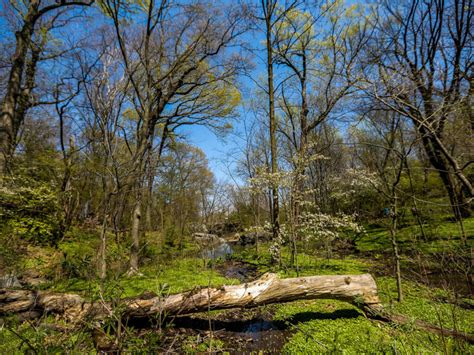 160 Years of Central Park: A Brief History | Central Park Conservancy