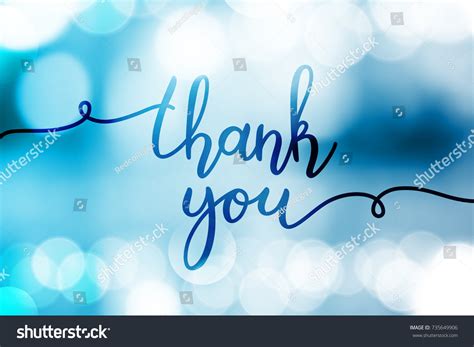 Thank You Vector Lettering On Blurred Stock Vector (Royalty Free ...