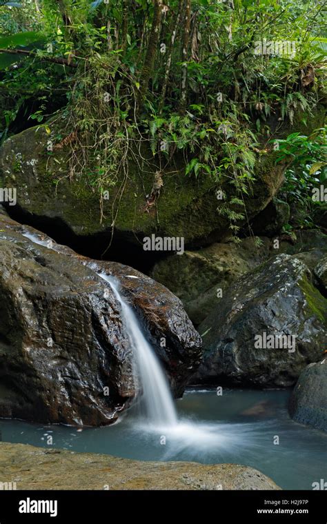 Waterfalls, Caribbean National Forest (El Yunque Rain Forest), Puerto ...