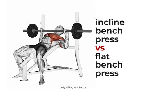 Incline Bench Press vs Flat Bench Press | Bench press, Incline bench ...