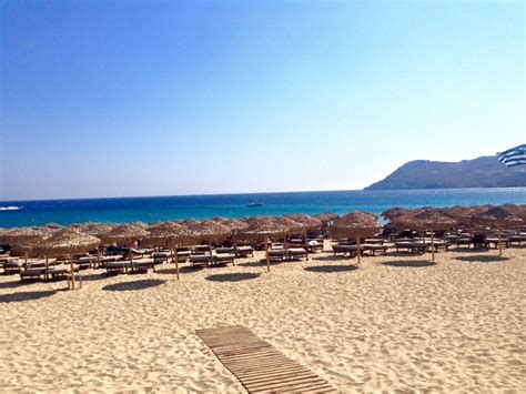 Elia Beach in Mykonos island, Greece - Mykonos Traveller