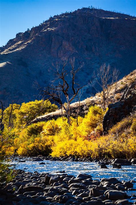 Cache La Poudre River in Poudre Canyon Near Fort Collins - Etsy