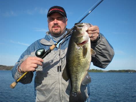 The 3 Best Early Spring Bass Fishing Lures - FishNY