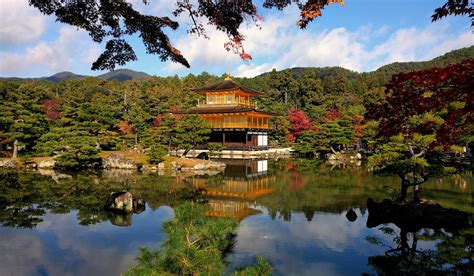 Discover Kinkakuji Temple, Kyoto's Golden Pavilion - Your Japan