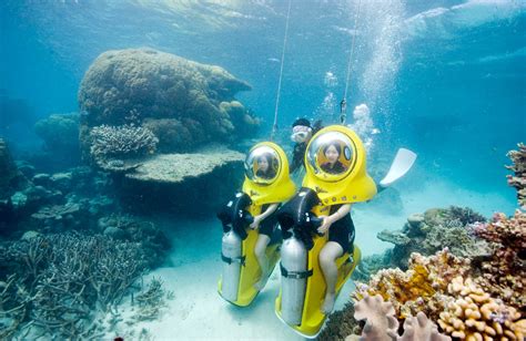 Experience the Great Barrier Reef Under Water on Scubadoo! - Great ...