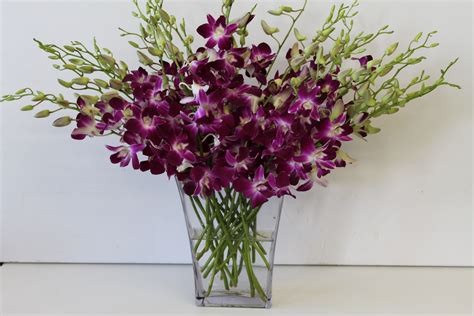 The Orchid Bouquet in Westminster, CA | XO Flowers & Gifts