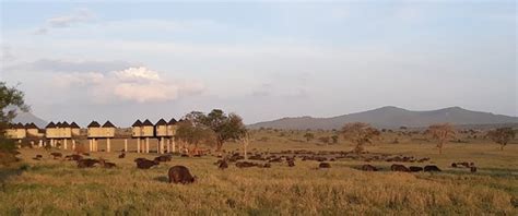 Taita Hills Wildlife Sanctuary (Taveta) - 2020 All You Need to Know ...