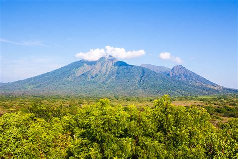 Hutan Rimba Orang Sunda: Terkoyaknya Pola Pikir Benteng Pelindung Alam ...