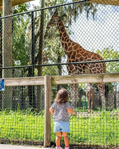 The Central Florida Zoo is one of the best places to bring your family ...