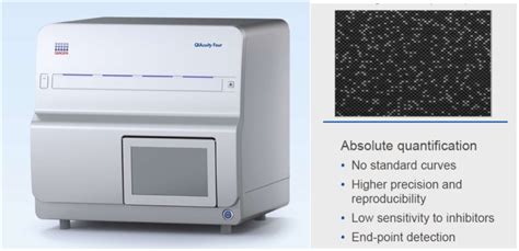 New Digital PCR Service Now Available | Noble Life Sciences