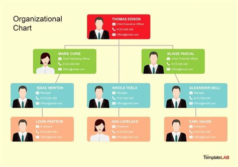 Free org Chart Template Best Of 40 organizational Chart Templates Word ...