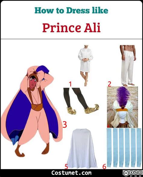 Prince Ali (Aladdin) Costume for Halloween