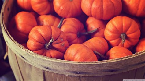 56+ Fall Wallpapers With Pumpkins