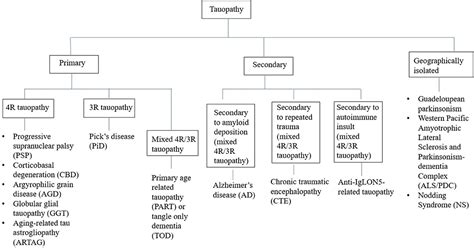 Frontiers | Tauopathy and Movement Disorders—Unveiling the Chameleons ...