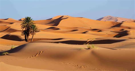 10 Facts About The Sahara Desert