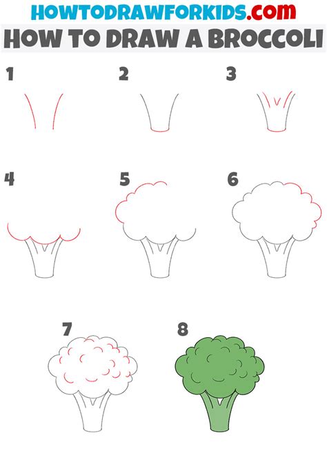 Broccoli Drawing