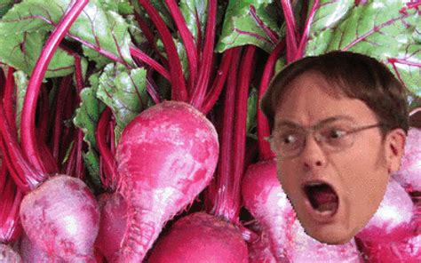 7 Reasons Dwight Schrute Loves Beets, and You Should Too