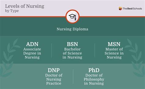 What Are The Different Levels Of Nursing?