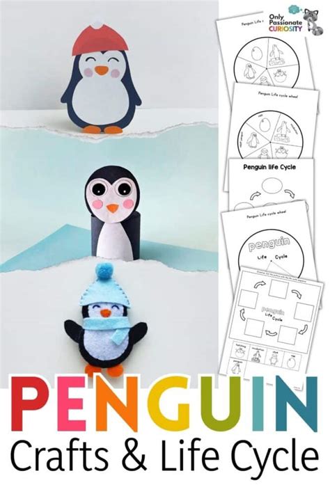 3 Penguin Crafts & Life Cycle Study