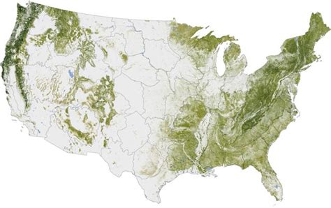 Mapping Forest Threats - American Forests