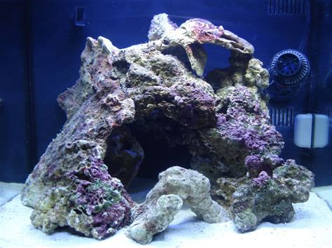 different types of live rock aquascape - Google Search | Saltwater fish ...