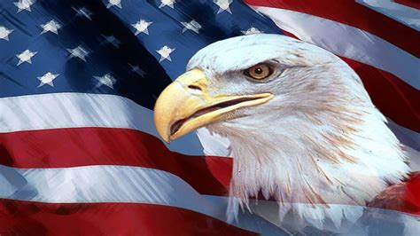 Patriotic Eagle Wallpapers Free - WallpaperSafari